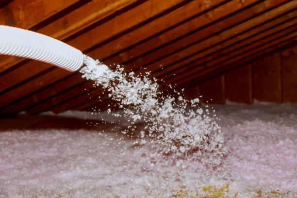 Best Local Insulation Services  in Moravian Falls, NC