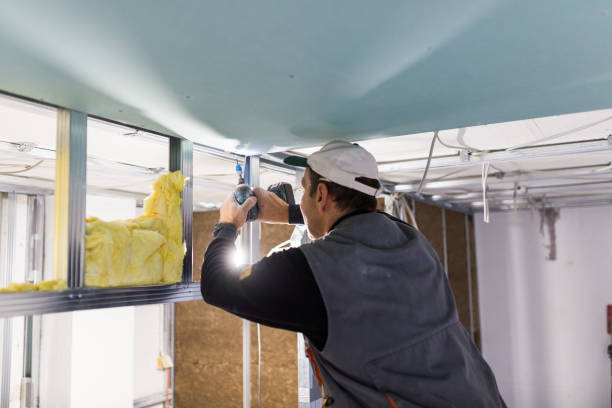 Best Insulation for New Construction  in Moravian Falls, NC