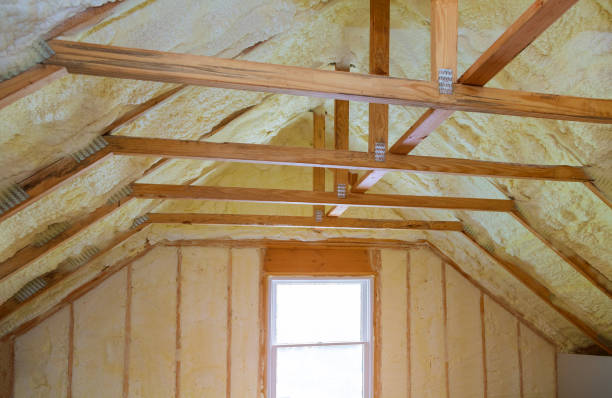 Best Insulation Removal  in Moravian Falls, NC