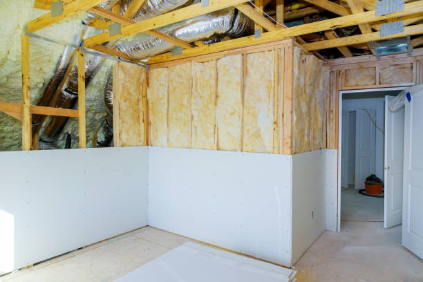 Best Insulation Repair Services  in Moravian Falls, NC
