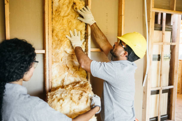 Best Attic Insulation Installation  in Moravian Falls, NC