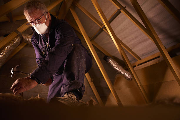Best Home Insulation Services  in Moravian Falls, NC